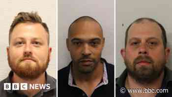 Museum burglars guilty of cage fighter murder plot