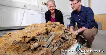 Huge Iron Age hoard found in North Yorks could alter understanding of ancient elites
