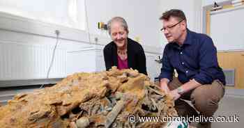 North East archaeologists amazed by 2000-year-old hoard discovered by metal detectorist
