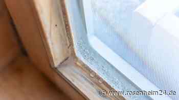 Schimmel in der Wohnung? Dieser simple Trick auf der Fensterbank kann helfen