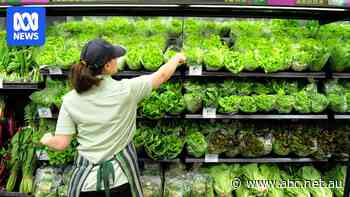 Frustrated fruit grower wants supermarkets to display what they pay farmers