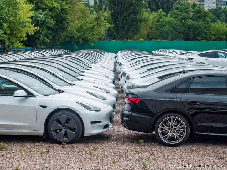 Tesla verliert an Relevanz bei Dienstwagen-Flotten