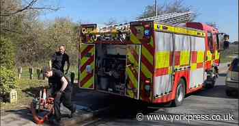 Girls trapped on island in York river