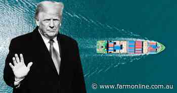 Trump reveals he could give "a lot of countries" tariff breaks on April 2