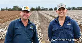 Rain rain go away: cotton pickers at a standstill but growers not worried yet