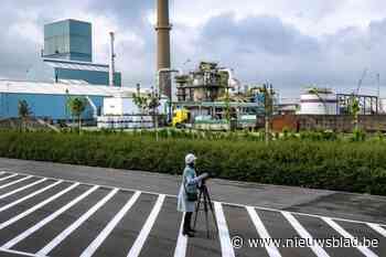 Boeren met zieke koeien wijzen naar oude chemische fabriek in kanaalzone
