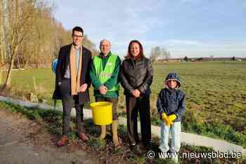 Vrijwilligers gezocht voor paddenoverzet: “We willen  zoveel mogelijk verkeersslachtoffers vermijden”