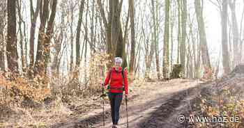 Aktion: Am 30. März ist wieder HAZ-Wandertag – mit einer langen Tour ab Springe