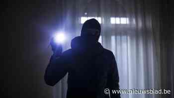 Dieven slaan toe in werfcontainer