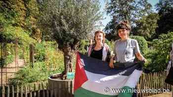 Mechelen weert producten uit bezette Palestijnse gebieden: “Maar een echte boycot is nog niet mogelijk”