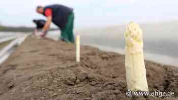 Spargelsaison beginnt: Erster Spargel in Teilen Badens