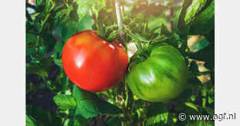 Marokkaanse telers klagen over Franse boycot