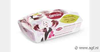 Rode Carmine witlof met hazelnootsmaak viert 25-jarig bestaan