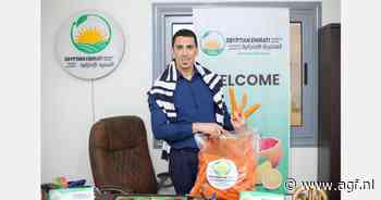 Stijgende Europese vraag naar Egyptische wortelen