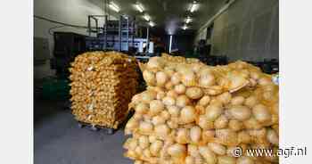 Belgische aardappelsector in een 'perfect storm'
