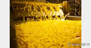 Nederlandse fritesfabrieken verwerken meer aardappelen uit eigen land