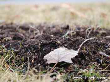 Earth Hour encourages people to do something positive in their community