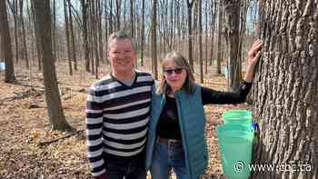 Walnut syrup: How an Ontario couple is tapping into a different sweet treat