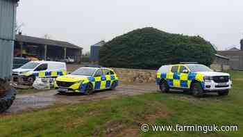 Four alpacas shot dead on Cambridgeshire smallholding