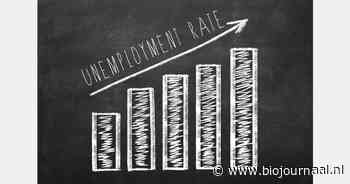 "Werkloosheid stijgt opnieuw, vooral onder 25- tot 45-jarigen"