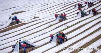 Initiative kritisiert Arbeitsbedingungen für Erntehelfer