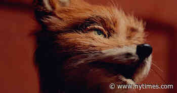 The Many Small Details That Make Up The Wes Anderson Universe