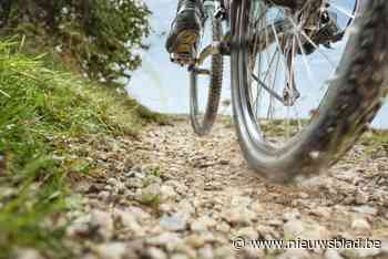Meisje (11) achtervolgd door witte bestelwagen in Roeselare: politie opent onderzoek