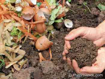 Best to skip sprinkling lime on compost heap