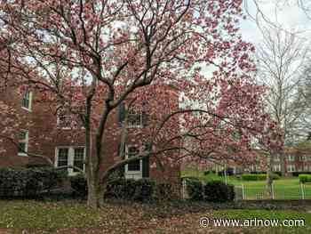 Arlington again ranks among the best ‘Cities’ to live in America