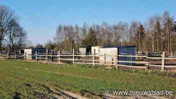 Drietal dat verdacht wordt van betrokkenheid bij foltering in paardenstal blijft aangehouden