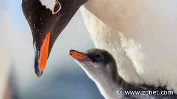 How to compile your first Linux kernel (and 3 reasons why you should)