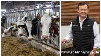 Preiskrise bei Steaks und Burger? Rindfleisch in Region wird knapper – über die Gründe