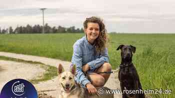 Spürhund gegen Bettwanzen: Laura Pannasch und Linus jagen blutsaugende Plagegeister