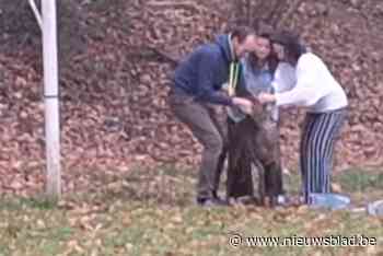 Leerkrachten schieten in actie om reetje te bevrijden