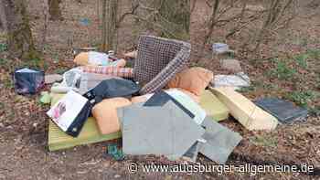 Matratzen, Teppichreste, Sonnenschirm: Müll illegal im Wald entsorgt