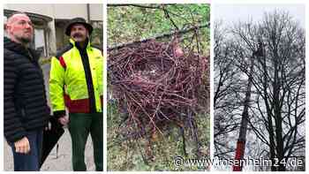 „Es wird immer schlimmer“: Droht die Krähen-Plage im Bad Aiblinger Kurpark zu eskalieren?