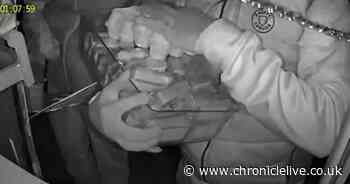 Watch Northumberland honesty box being ransacked as sneaky thieves caught on camera