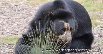 Freebie for mums at Knowsley Safari this Mother's Day weekend