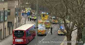 Woman dies after hit-and-run outside primary school in Colindale