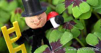 Polizei und Feuerwehr Kiel im Einsatz: Frau ließ Schornsteinfeger nicht rein