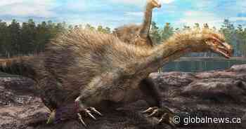 University of Calgary paleontologist part of discovery of new dinosaur with 30-cm claws
