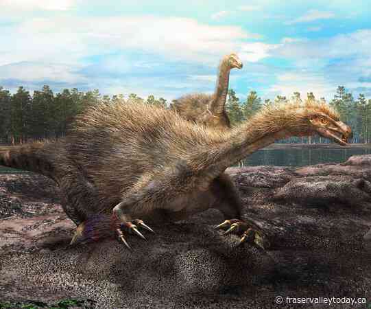Calgary paleontologist part of discovery of new dinosaur with 30-centimetre claws