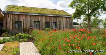Blähton: Zuschlagstoff für leichte Substrate zur stabilen Schrägdachbegrünung
