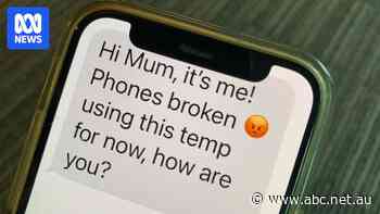 Calls to charity from 'Hi Mum' victims jump as text scam persists