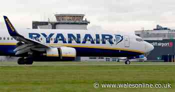 Ryanair passengers told spending £79 on one thing could save them hundreds