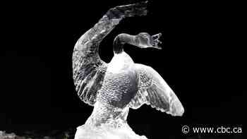 Toronto artist, U.S. colleague capture wild Canada goose-bald eagle fight photos in an ice sculpture