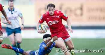 'Little tank' tipped to be part of Wales succession plan under future coach