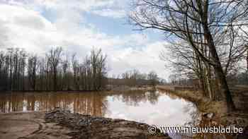 Nieuw drasland pakt historische vervuiling Grote Caliebeek aan: “Alleen maar voordelen”