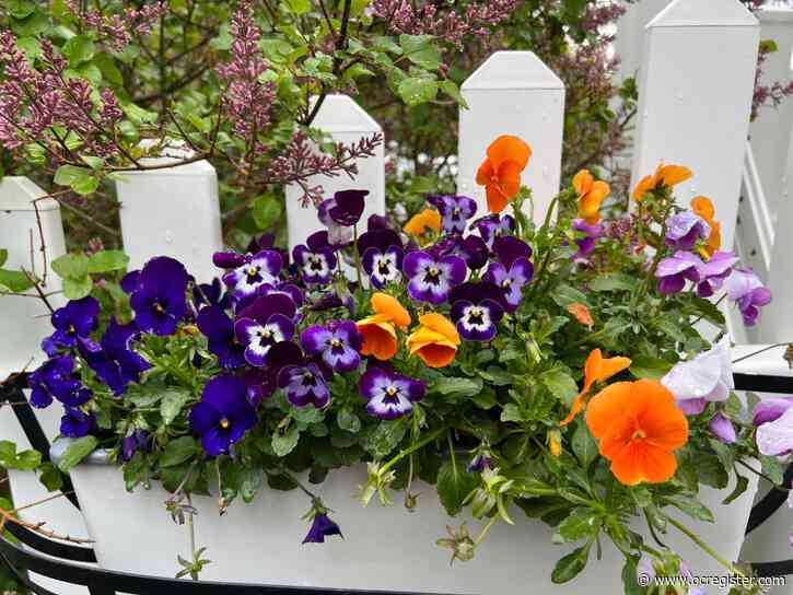 With spring’s arrival, there’s work to do in the garden. Here’s a checklist