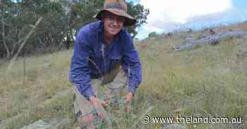 Conservation without compromising production: this farmer says it's possible
